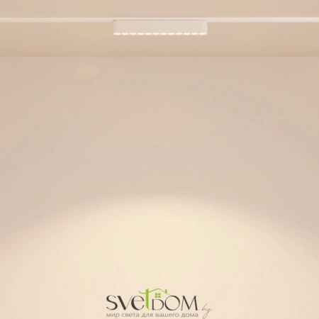 TR082-1-12W3K-M-W Maytoni