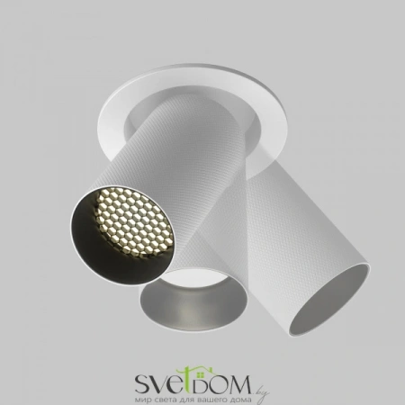 Встраиваемые светильники Maytoni C081CL-01-GU10-W от Магазина Svetdom.by