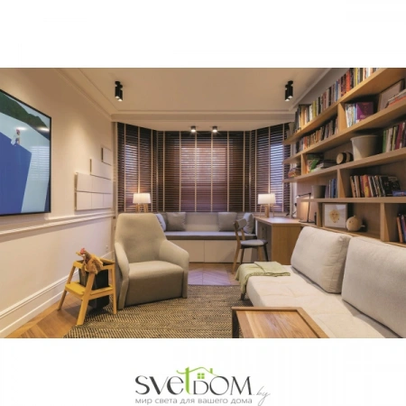 Потолочные светильники Maytoni C017CW-01B от Магазина Svetdom.by