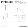 Подвесной светильник Citilux TUBU CL51512V_BF CITILUX