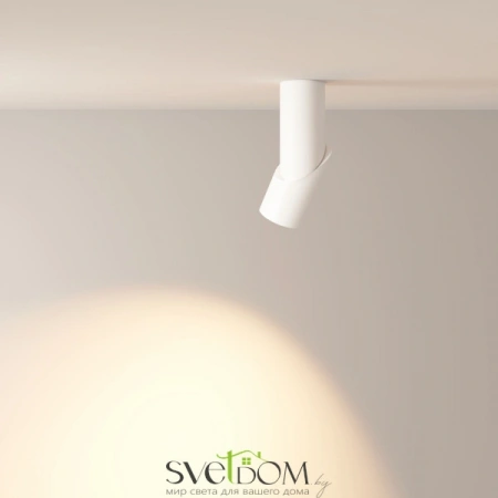 Потолочные светильники Maytoni C027CL-L10W от Магазина Svetdom.by