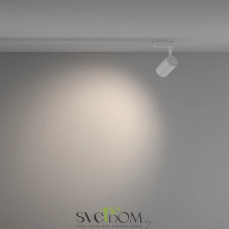 Трековый светильник TR003-1-10W4K-W-W Maytoni