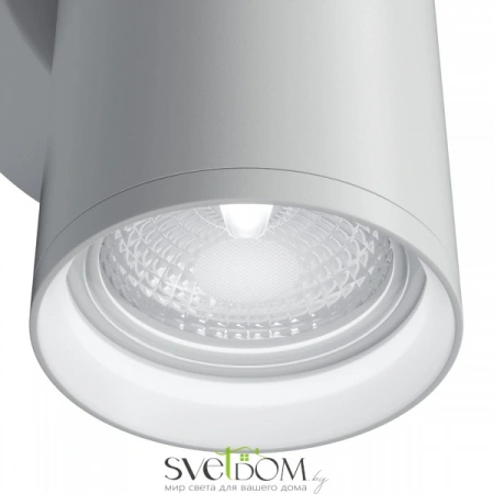 Настенные светильники C068WL-02W Maytoni | Svetdom.by