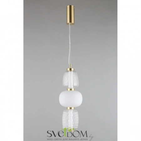 Подвесные светильники Aployt APL.318.06.29 от Магазина Svetdom.by