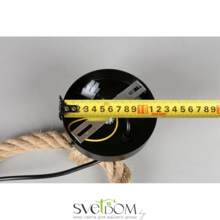 Подвесные светильники Aployt APL.309.16.01 от Магазина Svetdom.by