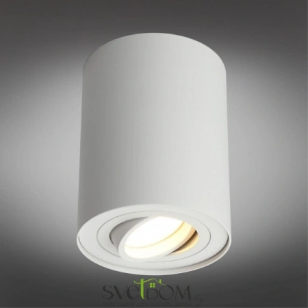 Накладные светильники Omnilux OML-101009-01 от Магазина Svetdom.by