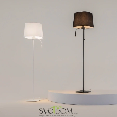 Напольный светильник (торшер) Maytoni Z001FL-L3W-1W Maytoni