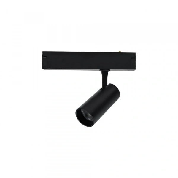 Светильник трековый Aployt  APL.0205.20.10