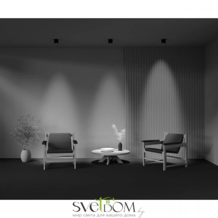 Потолочные светильники Maytoni C217CL-15W4K-B от Магазина Svetdom.by