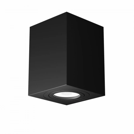 Потолочные светильники Maytoni C017CL-01B от Магазина Svetdom.by