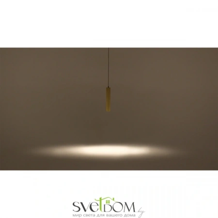 Подвесные светильники Maytoni P082PL-GU10-B от Магазина Svetdom.by