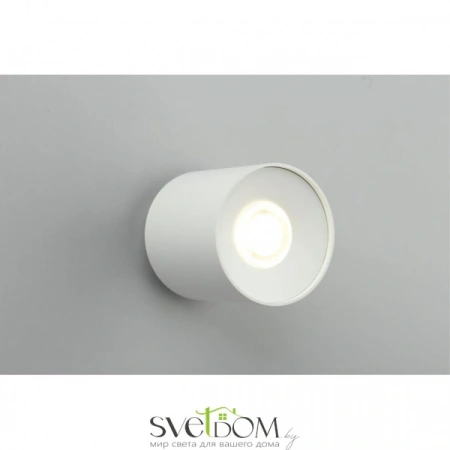 Накладные светильники Omnilux OML-100309-16 от Магазина Svetdom.by