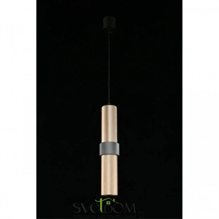 Подвесные светильники Aployt APL.614.16.01 от Магазина Svetdom.by