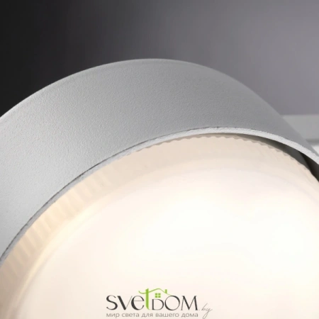 Потолочные светильники Freya FR5363CL-01W от Магазина Svetdom.by