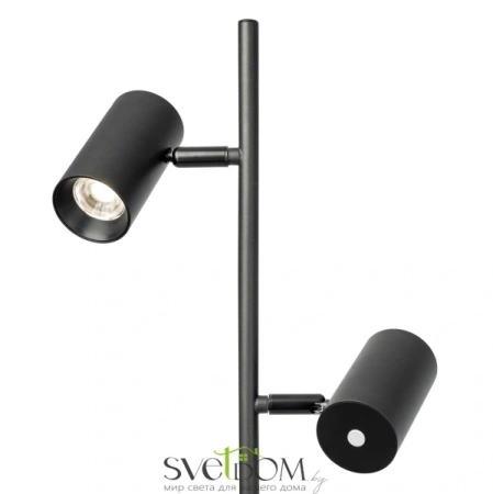 Citilux Twin CL809011N Торшер светодиодный Чёрный CITILUX