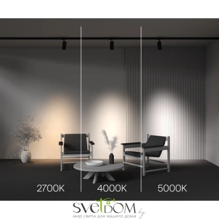 Трековый светильник Technical TR197-3-30WCCT-M-B Maytoni