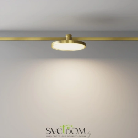 TR153-1-10W3K-BS Maytoni