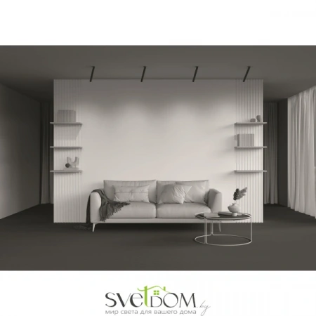 Встраиваемые светильники Maytoni C141RS-L300-6W3K-B от Магазина Svetdom.by