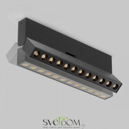 Потолочные светильники Maytoni C136CL-12W3K-B от Магазина Svetdom.by