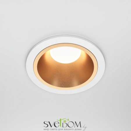 Встраиваемые светильники Maytoni DL126-GU10-WMG от Магазина Svetdom.by