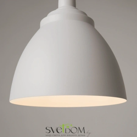 Фото Подвесные светильники Maytoni P534PL-01W Подвесные светильники Maytoni P534PL-01W от Магазина Svetdom.by