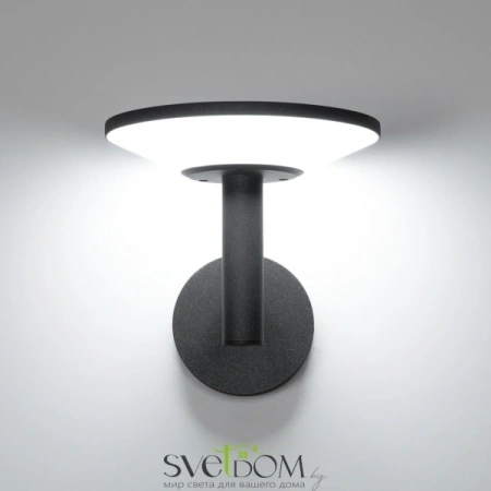 Citilux Dorn CLU05W LED Уличный настенный светильник Графит CITILUX