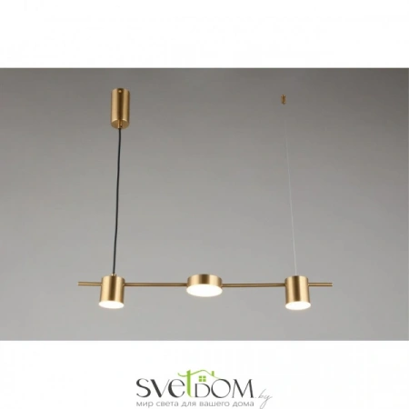 Люстры подвесныеAPL.017.13.18 Aployt | Svetdom.by