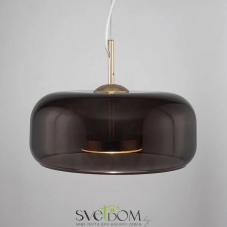 Подвесные светильники Maytoni MOD127PL-L6BR от Магазина Svetdom.by