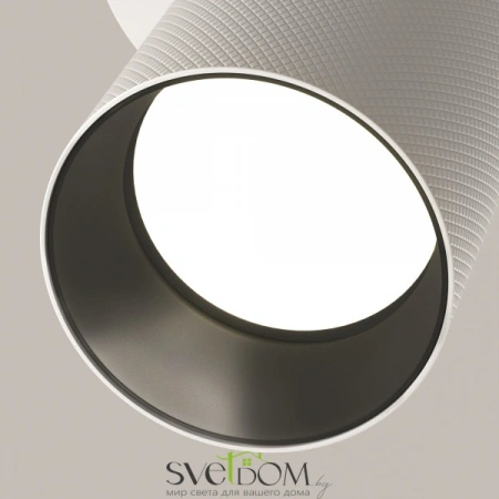 Встраиваемые светильники Maytoni C081CL-01-GU10-W от Магазина Svetdom.by