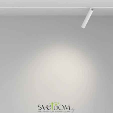 TR141-2-6W4K-M-W Maytoni