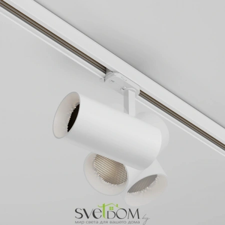 TR197-3-30WCCT-M-W Maytoni