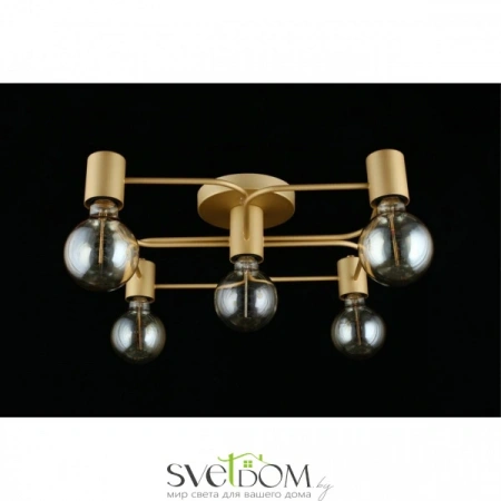 Люстры потолочныеAPL.911.07.05 Aployt | Svetdom.by