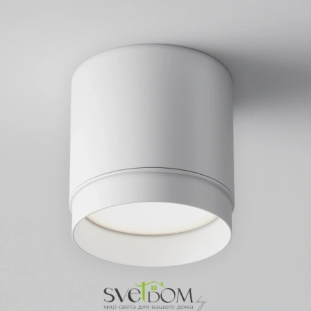 Потолочный светильник Technical C088CL-GX53-W Maytoni