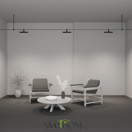 TR203-1-10W3K-S-B Maytoni