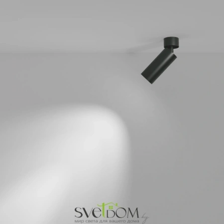 Потолочные светильники Maytoni C055CL-L12B3K-W-B от Магазина Svetdom.by