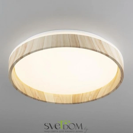 Потолочные светильники CITILUX CL753352G от Магазина Svetdom.by