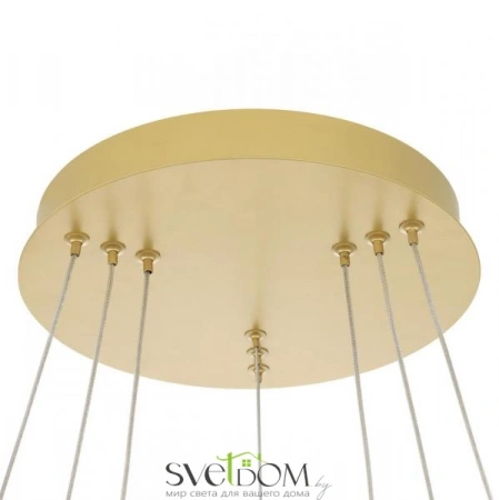 Люстры подвесныеCL719652 CITILUX | Svetdom.by