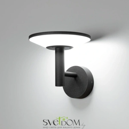 Citilux Dorn CLU05W LED Уличный настенный светильник Графит CITILUX