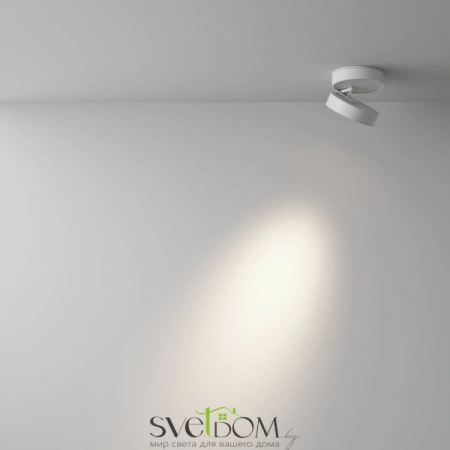 Потолочные светильники Maytoni C022CL-12W4K-W-1 от Магазина Svetdom.by