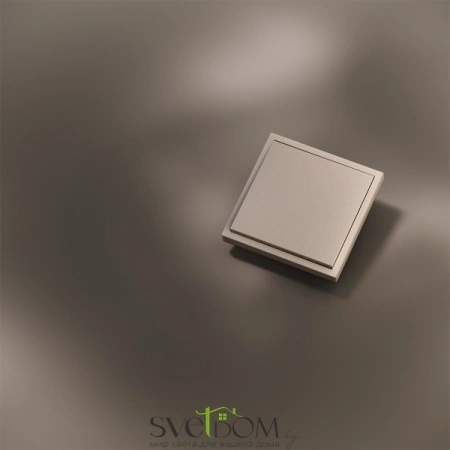 Клавиша для выключателя одноклавишного Voltum S70 METAL Платина VLSM000110 Voltum VLSM000110