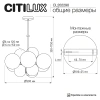 Подвесная люстра Citilux ORTON CL202290 CITILUX