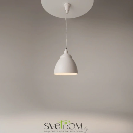 Фото Подвесные светильники Maytoni P534PL-01W Подвесные светильники Maytoni P534PL-01W от Магазина Svetdom.by