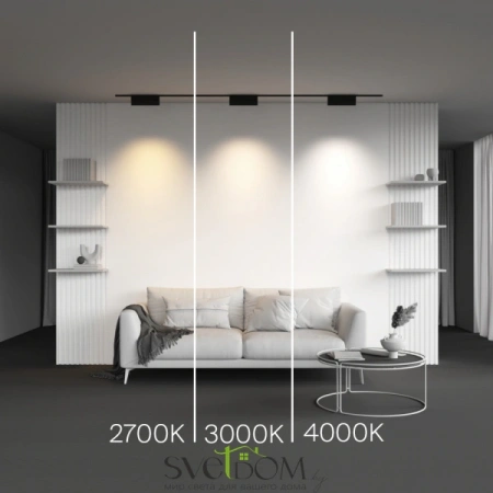 TR194-1-12W2.7K-M-B Maytoni