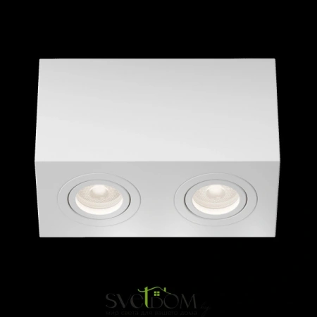 Потолочные светильники Maytoni C017CL-02W от Магазина Svetdom.by