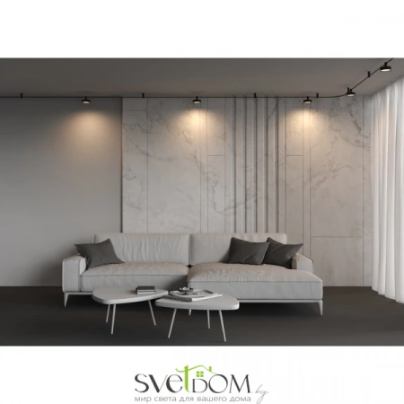 TR204-1-12W3K-B Maytoni