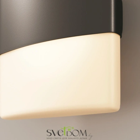 Настенные светильники O442WL-L12GF3K Maytoni | Svetdom.by