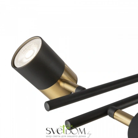 Подвесные светильники Freya FR5201PL-10B от Магазина Svetdom.by