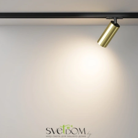 TR021-1-12W3K-W-BBS Maytoni