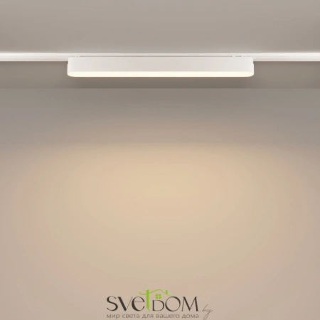 TR080-1-18W3K-W Maytoni