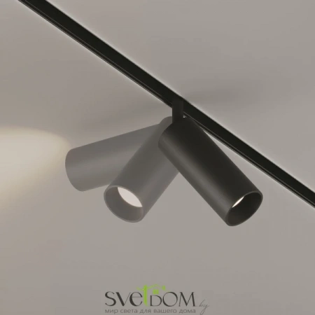 TR032-2-12W3K-S-B Maytoni